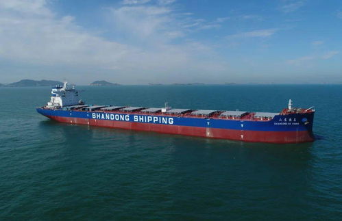 連續(xù)交付助力產(chǎn)業(yè)升級 集成電路設(shè)計(jì)賦能船舶制造新高潮